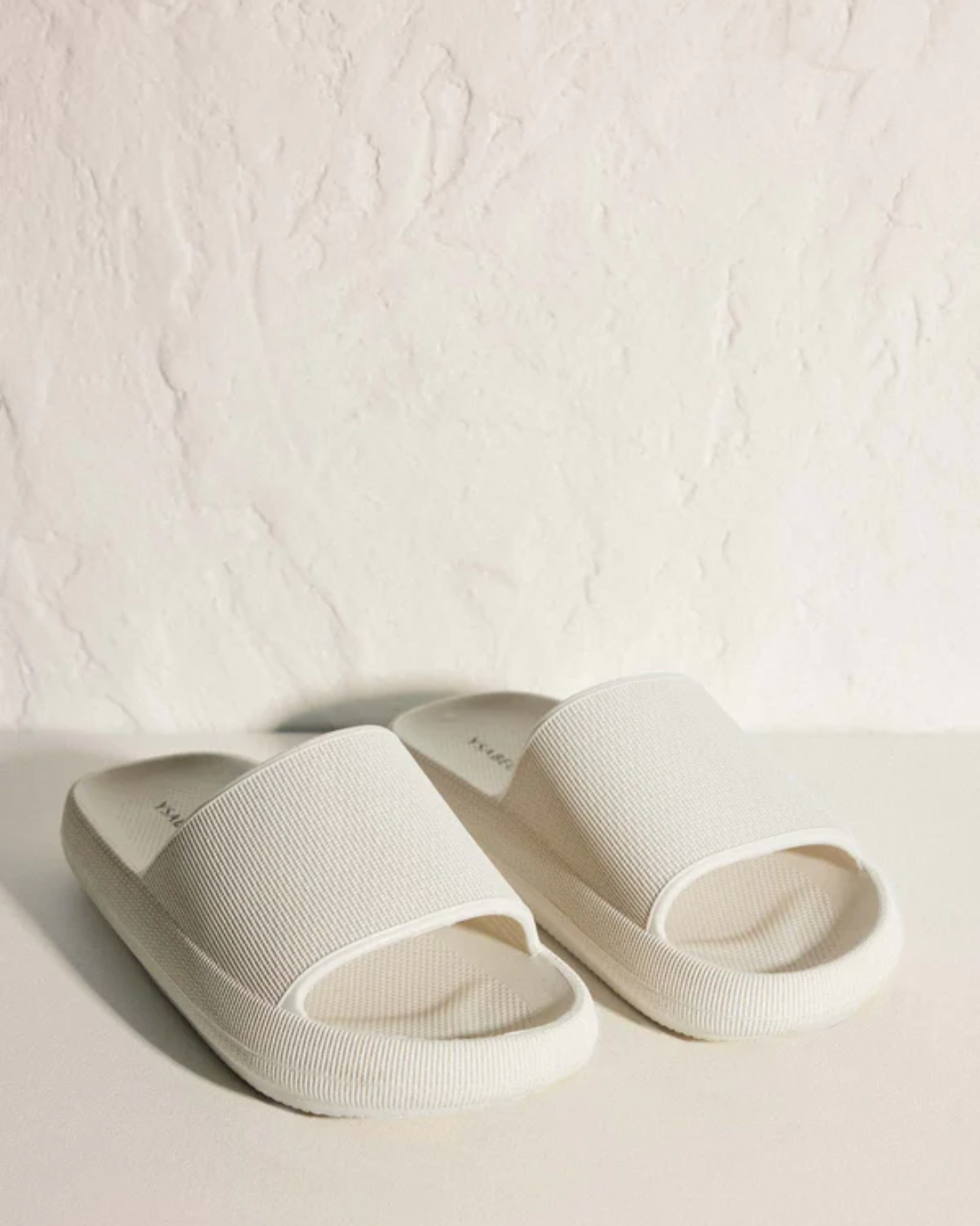 Ysabel Mora Ciabatta