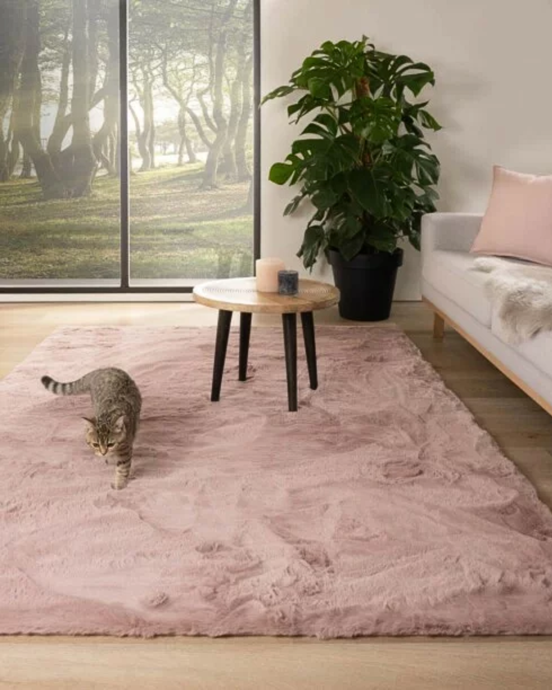 Linea Oro Tappeto Arredo Rabbit Cm 60x90