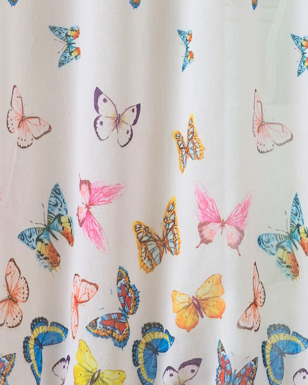 tendbutterfly (1).png