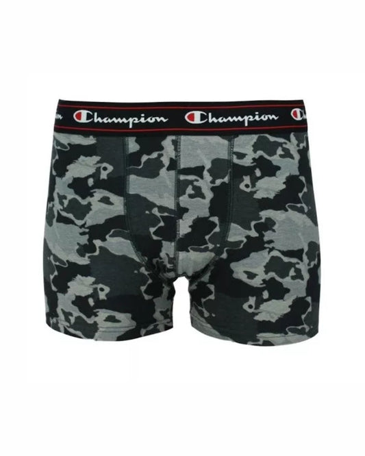 Champion 1 Boxer