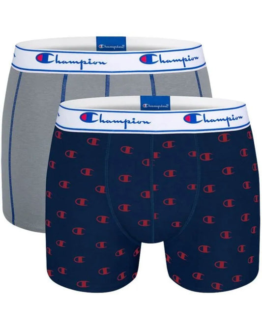 Champion 2 Boxer
