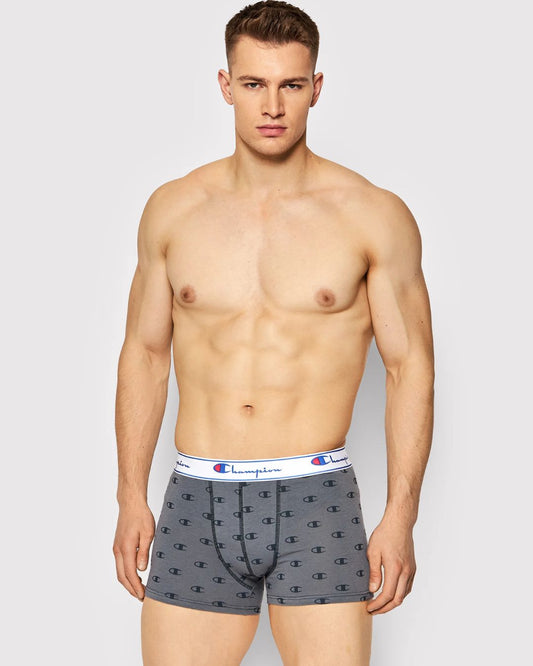 Champion 2 Boxer