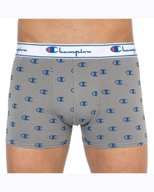 Champion 1 Boxer