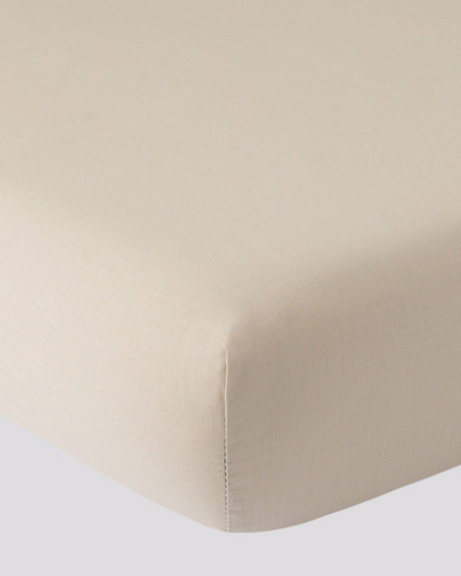 paintsotto (5).png